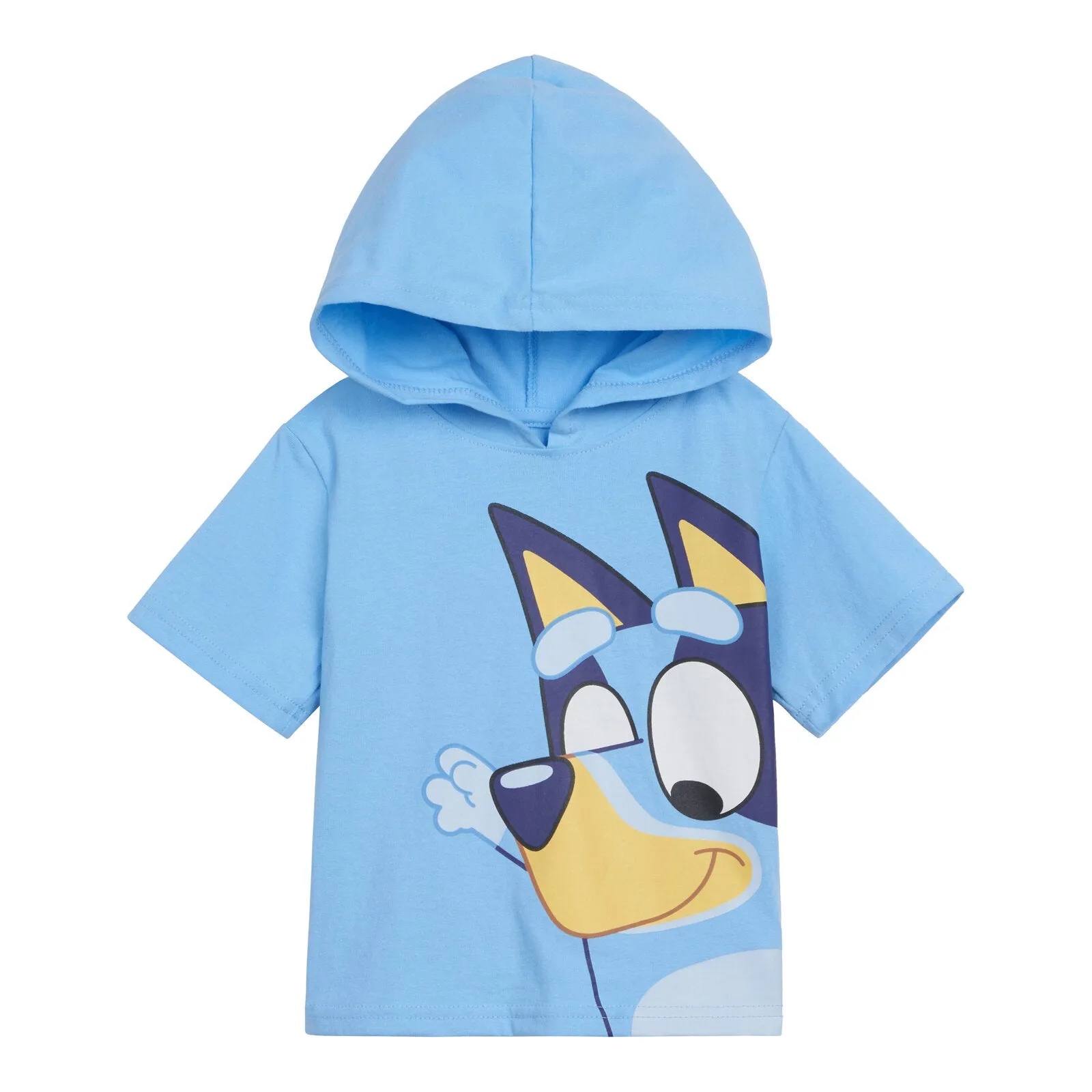 Bluey Pullover Hoodie and French Terry Shorts