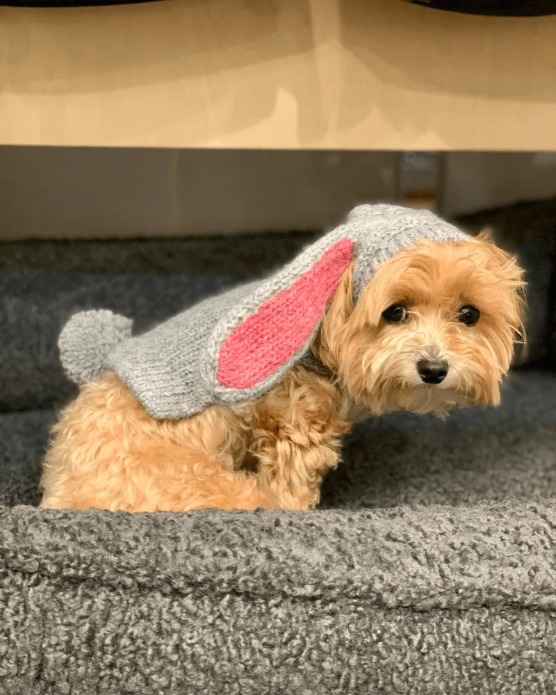 Ear-Resistable Hand-Knit Bunny Dog Sweater (DOG & CO. Exclusive)