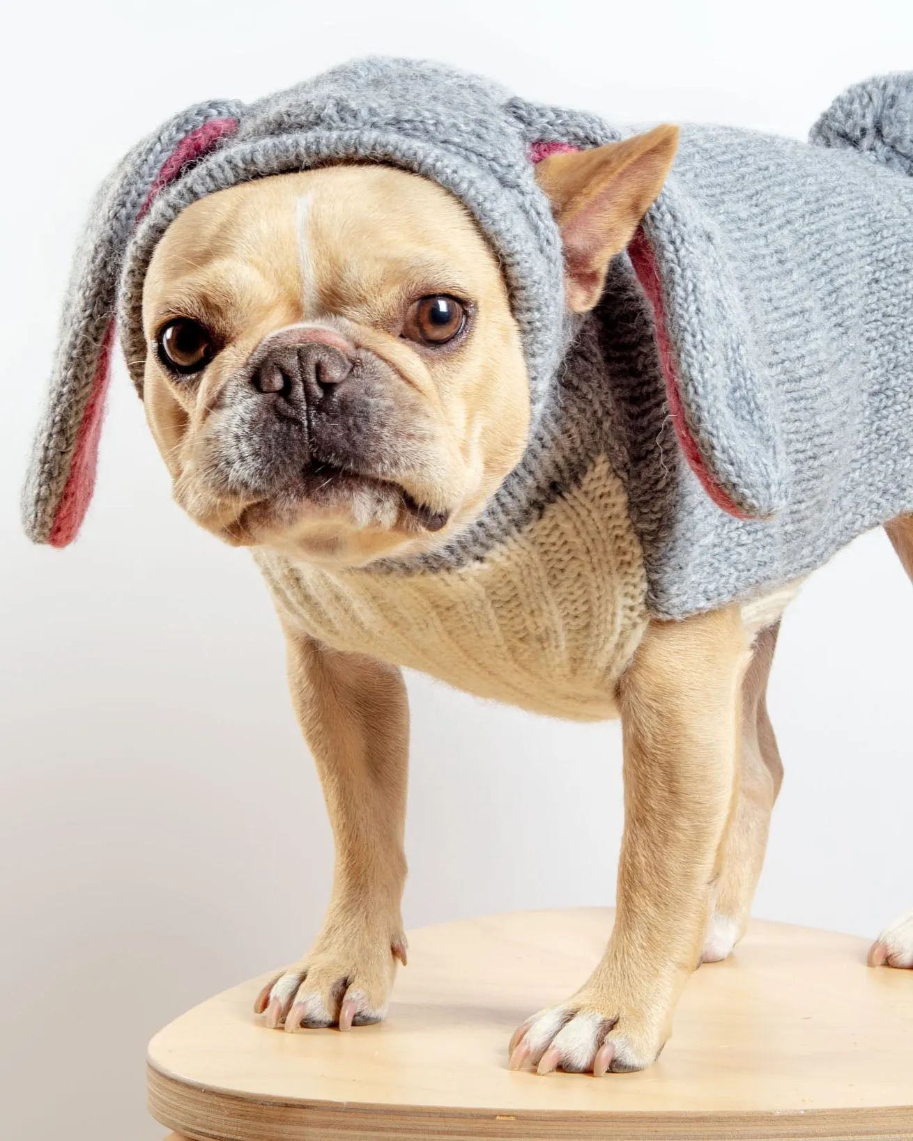 Ear-Resistable Hand-Knit Bunny Dog Sweater (DOG & CO. Exclusive)