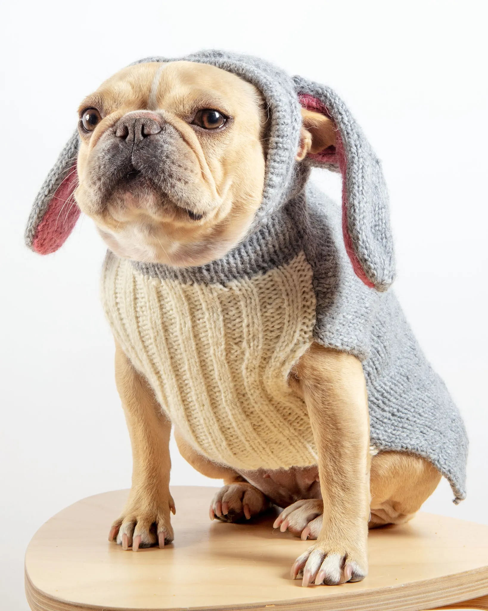 Ear-Resistable Hand-Knit Bunny Dog Sweater (DOG & CO. Exclusive)