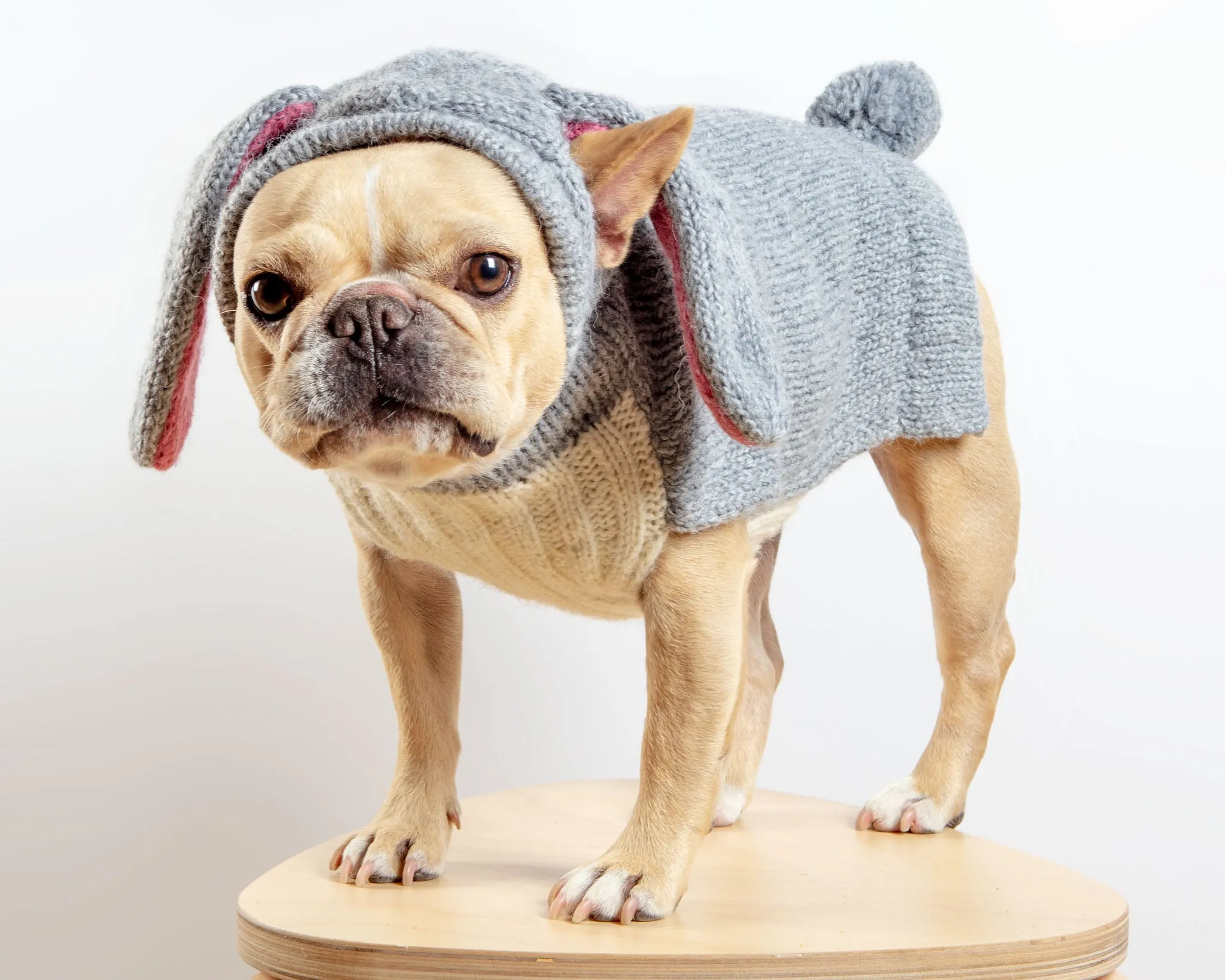 Ear-Resistable Hand-Knit Bunny Dog Sweater (DOG & CO. Exclusive)